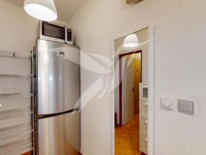 Pronájem bytu 1+kk, Plzeň, Božkovská, 43 m2