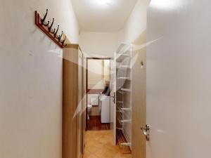 Pronájem bytu 1+kk, Plzeň, Božkovská, 43 m2