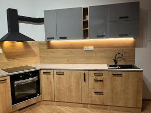 Pronájem bytu 1+kk, Hradec Králové, Šafaříkova, 32 m2