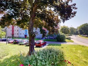 Prodej bytu 2+1, Ostrava - Zábřeh, Čujkovova, 48 m2