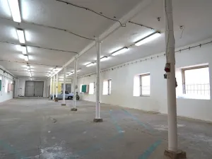 Pronájem výrobních prostor, Pavlov, 310 m2