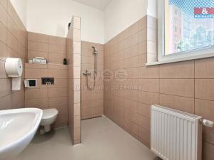 Pronájem obchodního prostoru, Mladá Boleslav - Mladá Boleslav II, 17. listopadu, 160 m2