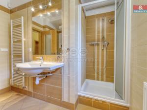 Pronájem rodinného domu, Zruč-Senec - Zruč, Zlatá, 160 m2