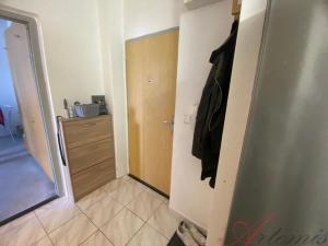 Pronájem bytu 2+kk, Ostrava - Poruba, Jana Ziky, 40 m2