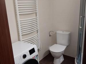 Pronájem bytu 2+kk, Ostrava - Poruba, Jana Ziky, 40 m2