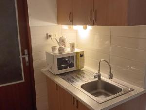 Pronájem bytu 2+kk, Ostrava - Poruba, Jana Ziky, 40 m2
