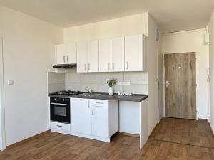 Pronájem bytu 1+1, Litvínov, Rooseveltova, 37 m2