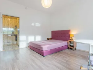 Pronájem bytu 1+1, Praha - Nusle, U Pernštejnských, 29 m2