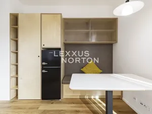 Pronájem bytu 1+kk, Praha - Nusle, Na Topolce, 27 m2