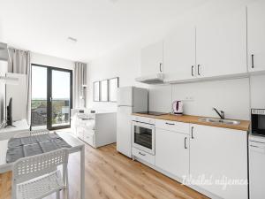 Pronájem bytu 1+kk, Praha - Kyje, Za černým mostem, 23 m2