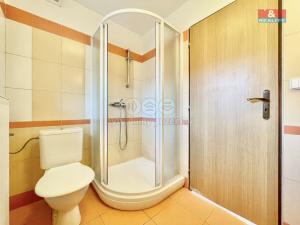 Pronájem rodinného domu, Dolní Čermná, 44 m2