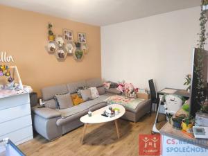 Pronájem bytu 3+1, Znojmo, Horova, 67 m2