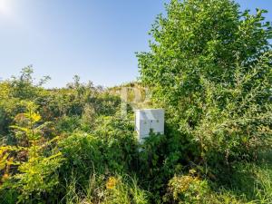 Prodej pozemku pro bydlení, Svojkov, 2412 m2