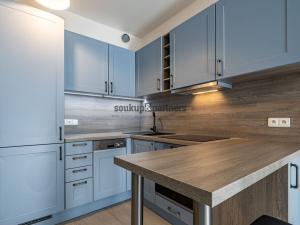 Prodej bytu 1+kk, Praha - Hlubočepy, Vítové, 29 m2