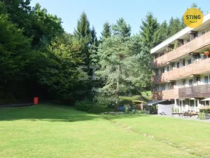 Pronájem bytu 1+kk, Všemina, 24 m2