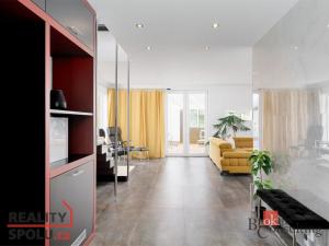 Prodej rodinného domu, Vodochody, 220 m2