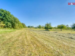 Prodej zemědělské usedlosti, Řenče - Osek, 70 m2