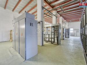 Prodej výrobních prostor, Horní Bříza, Tovární, 600 m2