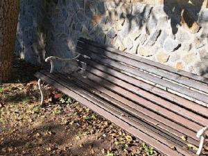 Pronájem bytu 1+kk, Velká Bíteš, 22 m2