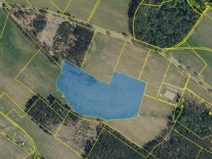 Prodej louky, Běleč nad Orlicí, 28117 m2