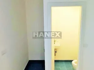 Pronájem bytu 1+1, Praha - Žižkov, Vlkova, 40 m2