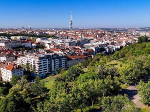 Prodej bytu 2+kk, Praha - Žižkov, Kališnická, 67 m2