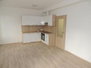 Pronájem bytu 1+kk, Plzeň, U Velkého rybníka, 34 m2