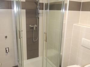 Pronájem bytu 1+kk, Plzeň, U Velkého rybníka, 34 m2