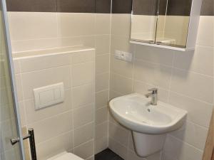 Pronájem bytu 1+kk, Plzeň, U Velkého rybníka, 34 m2