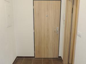 Pronájem bytu 1+kk, Plzeň, U Velkého rybníka, 34 m2