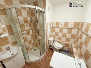 Pronájem bytu 1+1, Horní Slavkov, Dlouhá, 35 m2