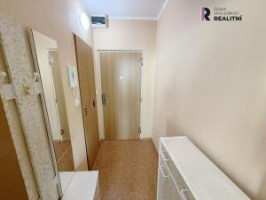 Pronájem bytu 1+1, Horní Slavkov, Dlouhá, 35 m2