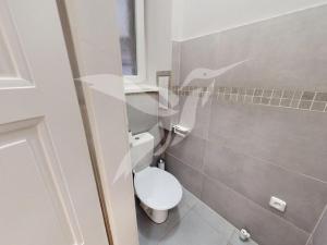 Pronájem bytu 1+1, Plzeň, Edvarda Beneše, 53 m2