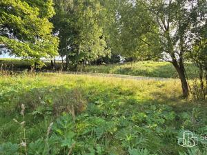 Prodej pozemku, Rovná, 8130 m2