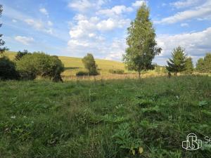 Prodej pozemku, Rovná, 8130 m2