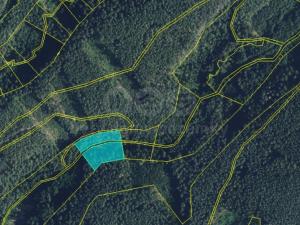 Prodej lesa, Proseč, 5021 m2