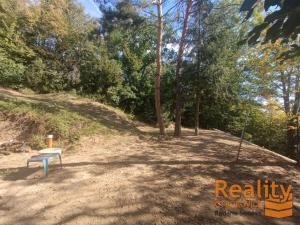 Prodej chaty, Napajedla, Radovany, 40 m2