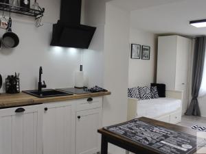 Pronájem bytu 1+1, Karlovy Vary, Na Vyhlídce, 26 m2