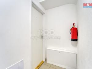 Pronájem bytu 1+kk, Sytno, 31 m2