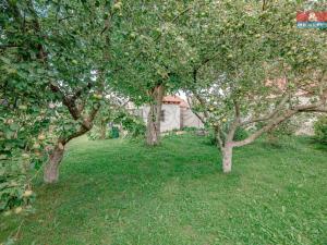 Prodej rodinného domu, Opočno, Palackého, 120 m2