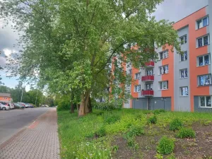 Pronájem bytu 1+1, Tábor, Náchodská, 35 m2