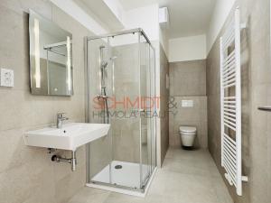 Pronájem bytu 1+kk, Hustopeče, Alejní, 31 m2