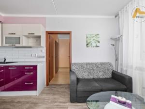 Pronájem bytu 2+kk, Bechyně, Písecká, 42 m2