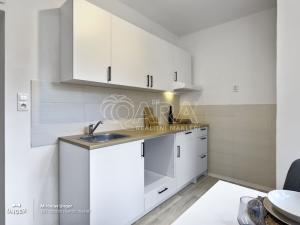 Prodej bytu 2+1, Praha - Žižkov, Buková, 52 m2