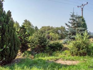 Prodej pozemku pro bydlení, Spálené Poříčí, 4447 m2