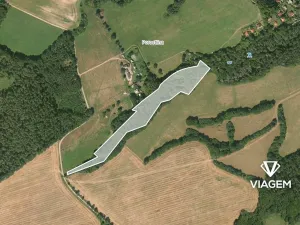 Prodej lesa, Nižbor, 13464 m2