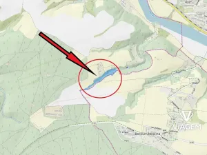 Prodej lesa, Nižbor, 13464 m2