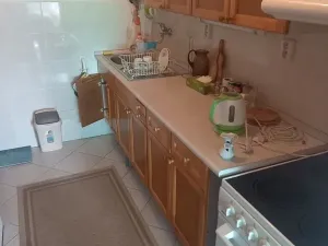 Pronájem bytu 3+kk, Praha - Bohnice, Radomská, 57 m2