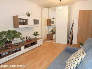 Pronájem bytu 2+kk, Brno, Gorkého, 45 m2