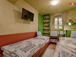 Prodej obchodního prostoru, Jindřichův Hradec - Jindřichův Hradec III, Mlýnská, 71 m2